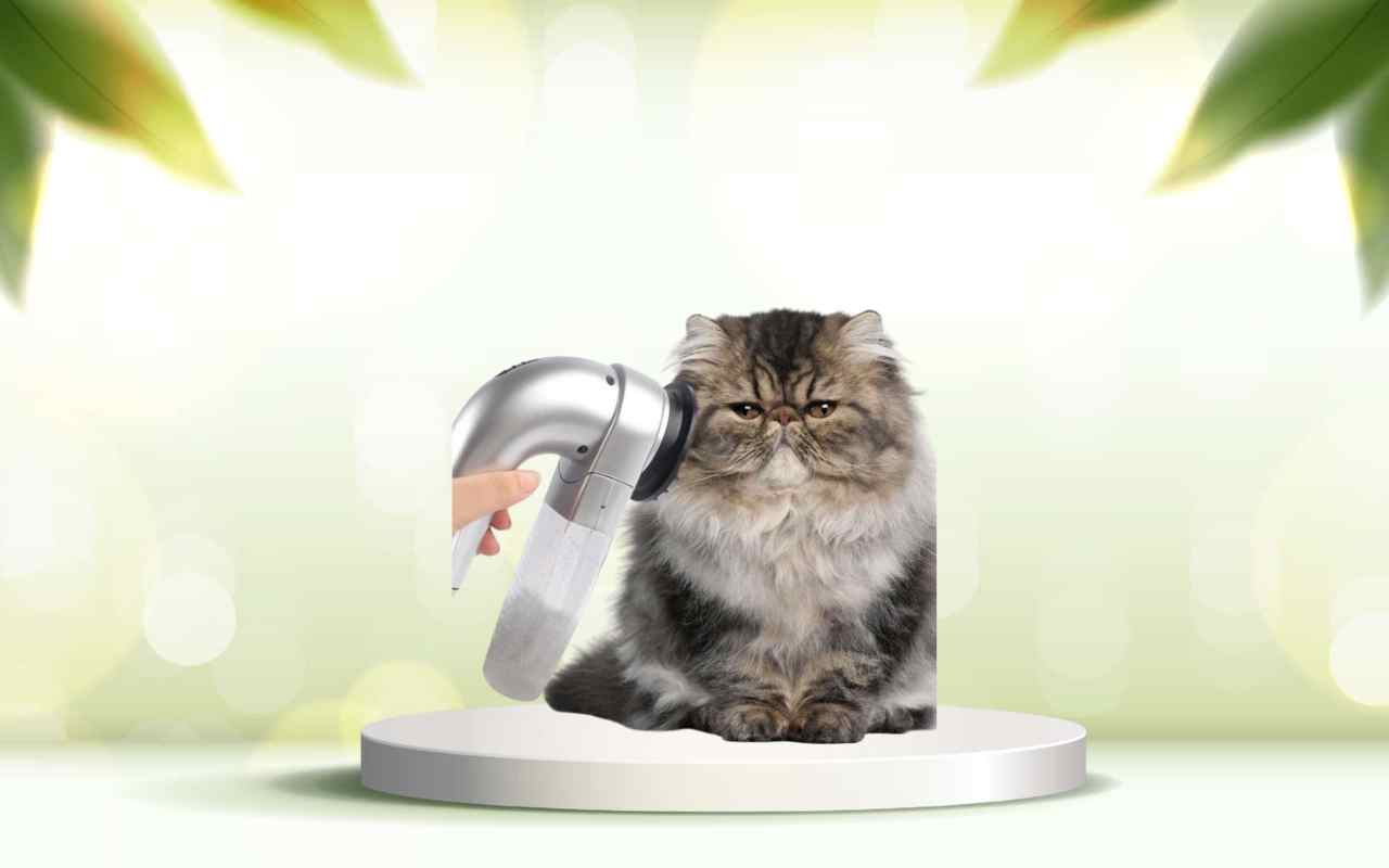 Elimina i peli degli animali con SpazzolAmica: provala ora in offerta speciale