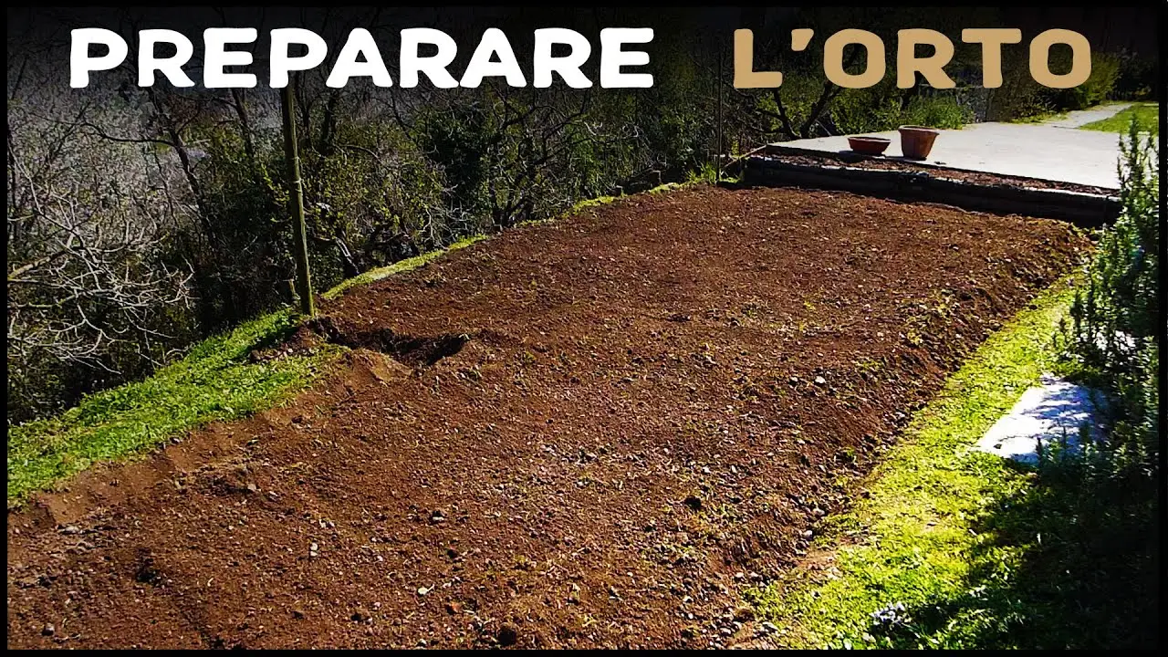 Metti sempre questo strato tra la terra e le piante: il trucco dei vivaisti per un orto perfetto